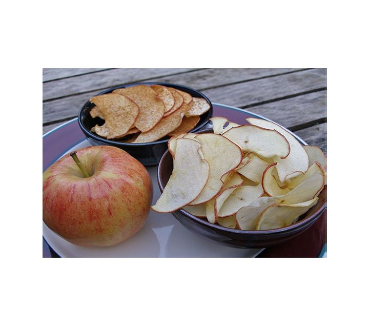 Dried Apples Dehydrated Apple Chips Wholesale Dehydratedfood.co.in