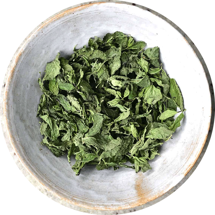 Dehydrated Mint Leaves