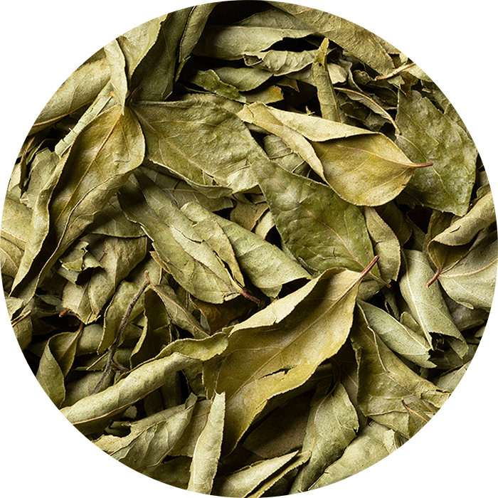 Dehydrated Curry Leaves